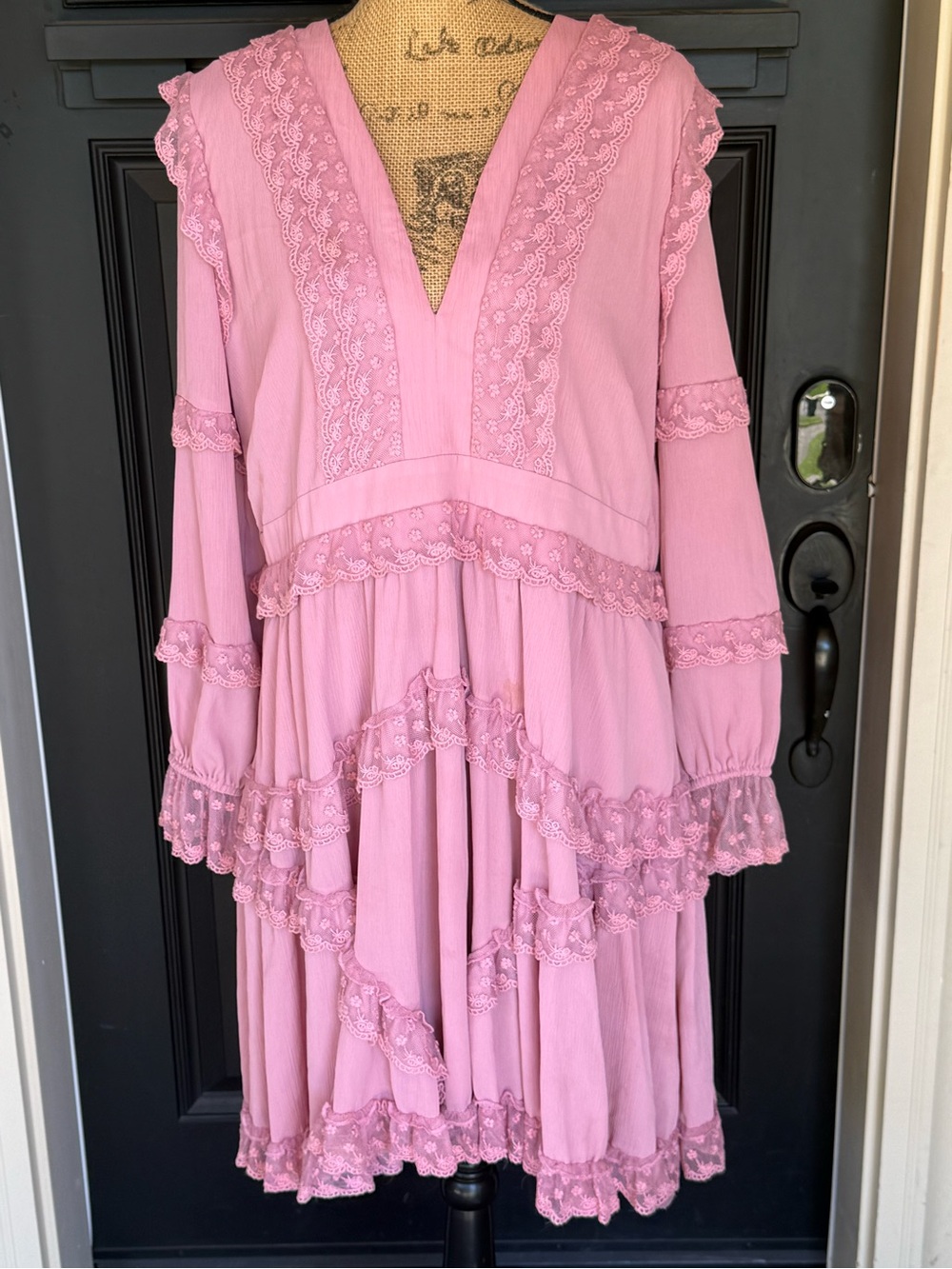 L'ATISTE Rose Boho Cottagecore Coquette Fairy Romantic Lace Up Back 1X - Picture 2 of 8